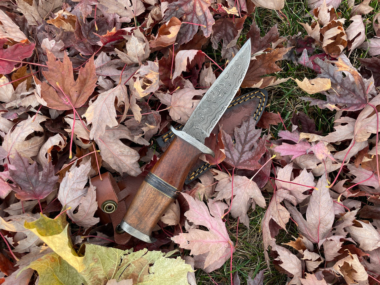 Ironwood Stalker TK-214 Damascus Steel Knife by Titan International Knives