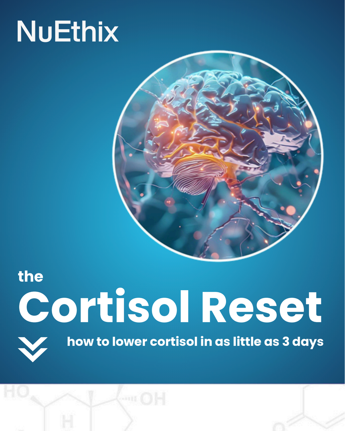 Cortisol Reset Guide