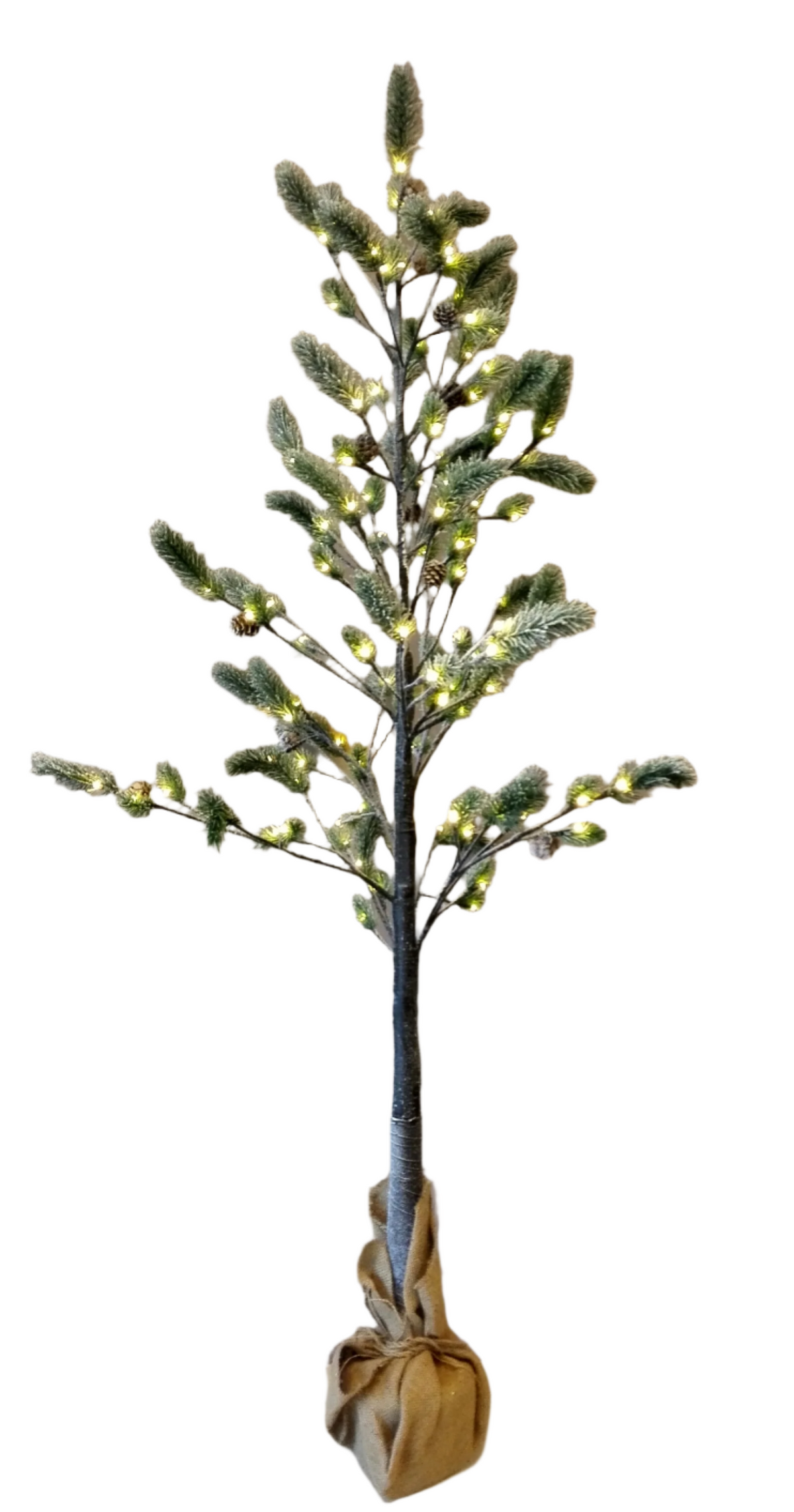 Christmas Pine Tree