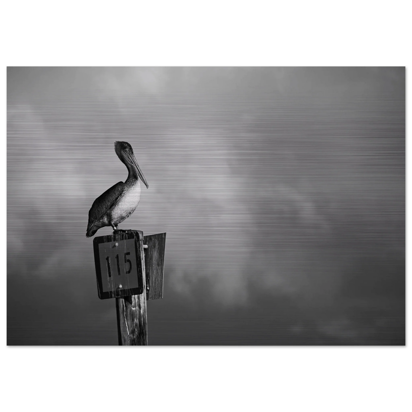 Guardian | Black & White Aluminum Print