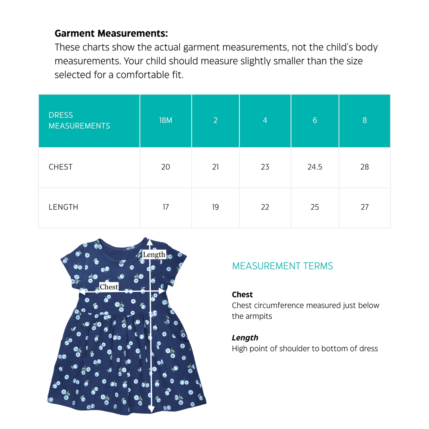 Little Blueberry Organic Twirl Dress