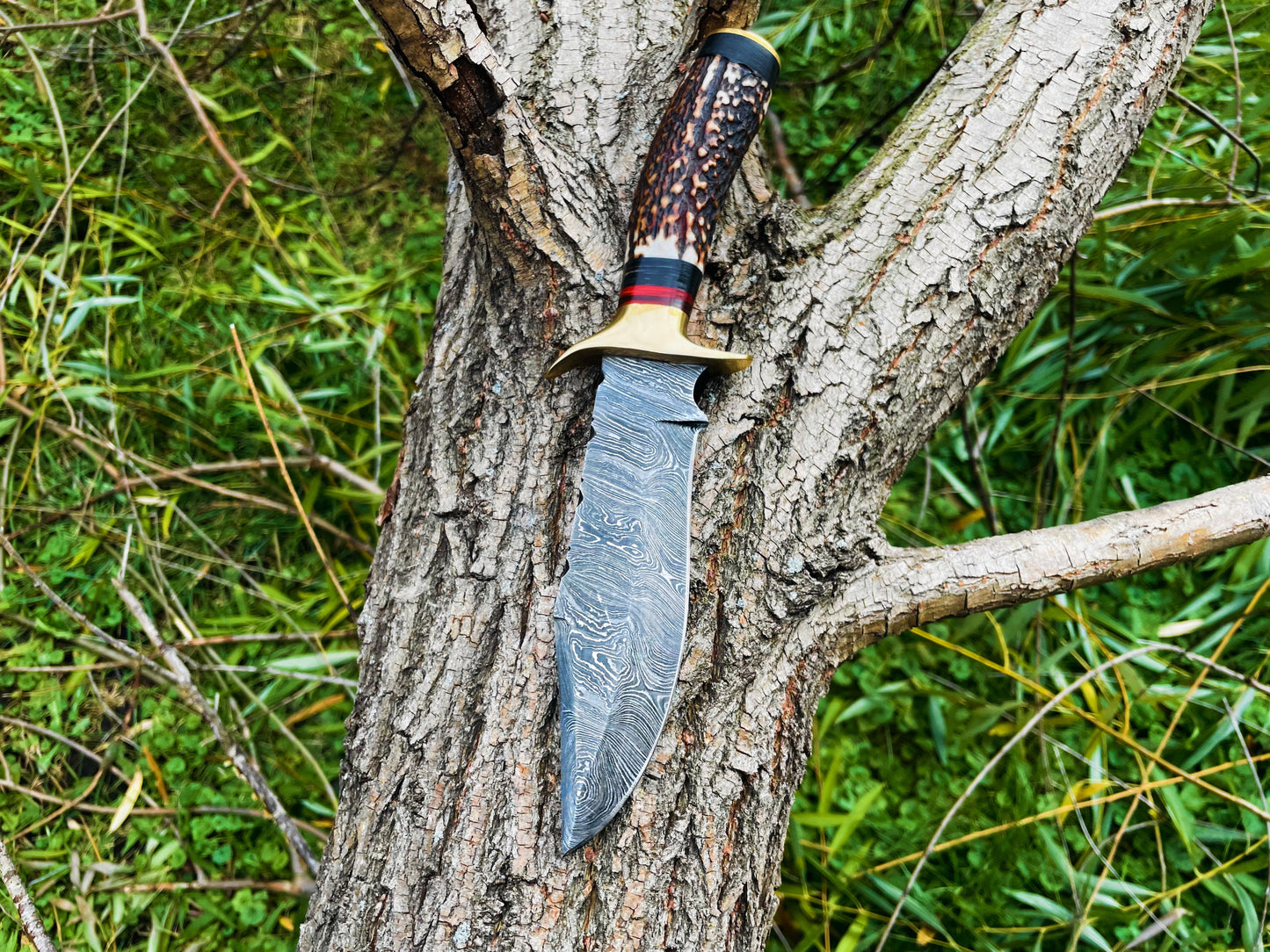 A.4 Stag Horn Hunting Knife Titan Buck Star