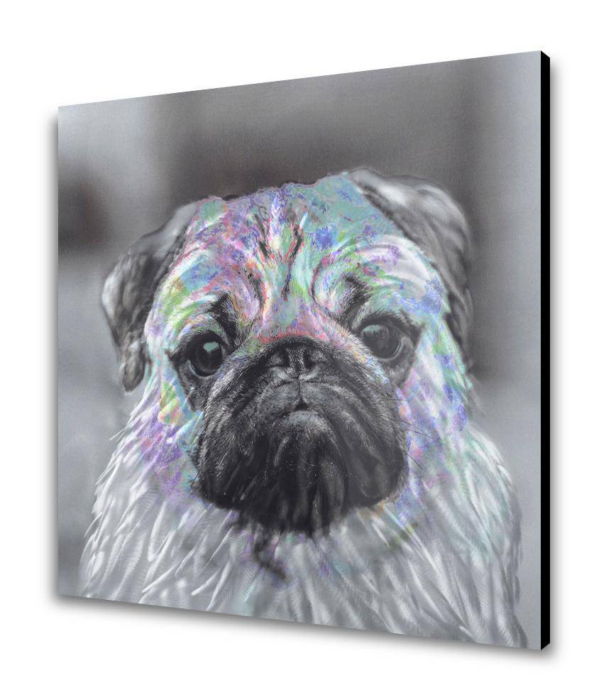 Innocent Pug Metal Wall Art