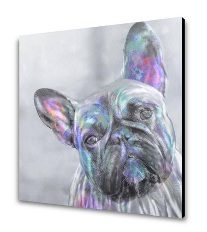 French Bulldog Wall Art