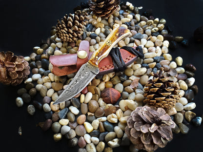 Hand Forged Damascus Knife Neck Knife TD-178 Burnt Bone