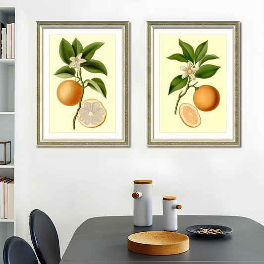Set of 2 Orange Fruit Botanical Framed Wall Art – Replaceable Canvas Prints with Solid Wood Picture Frames, Fresh Kitchen and Dining Room Wall Decor 18x24 inches