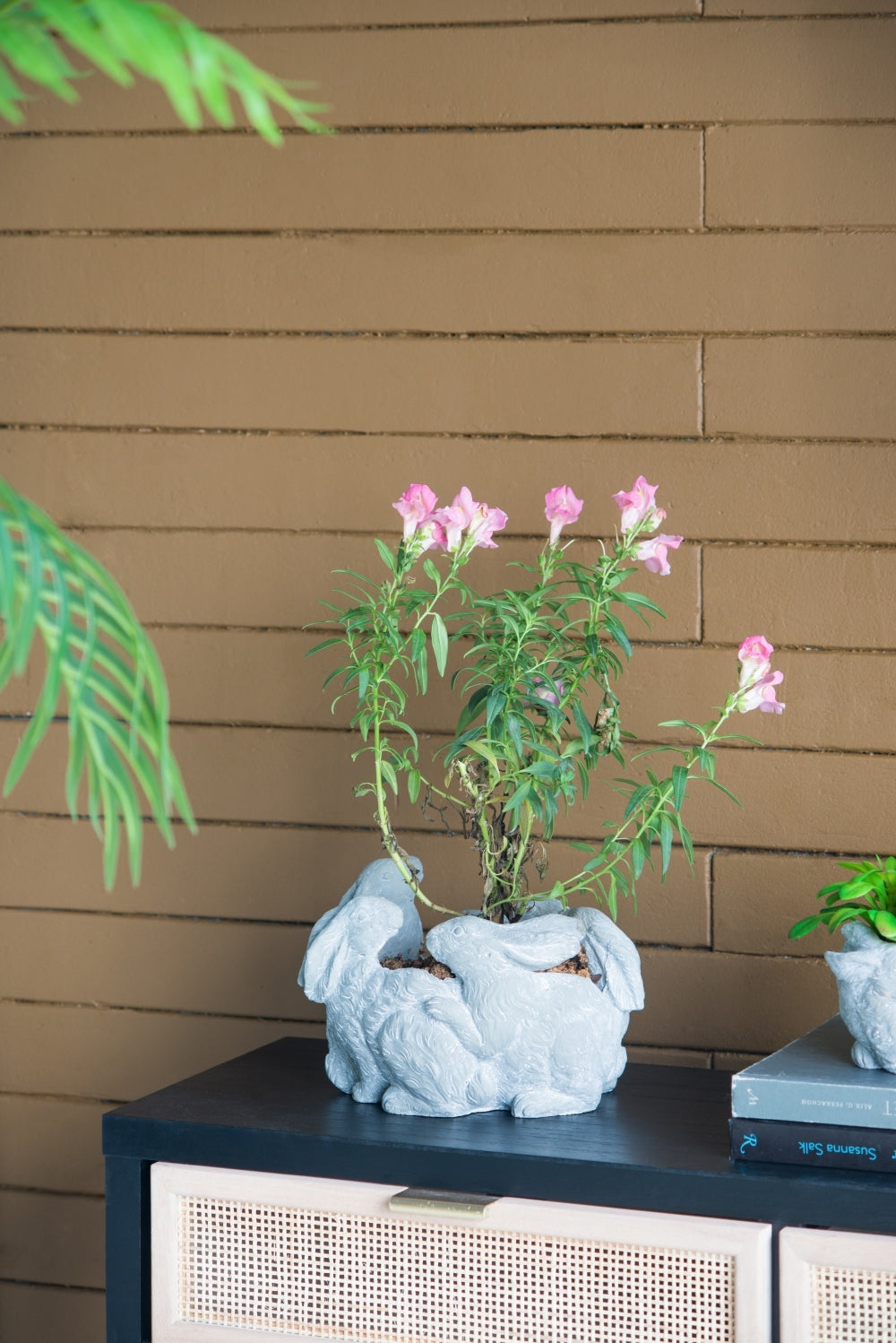 10x8x6.5' 5 Bunny Cement Planter