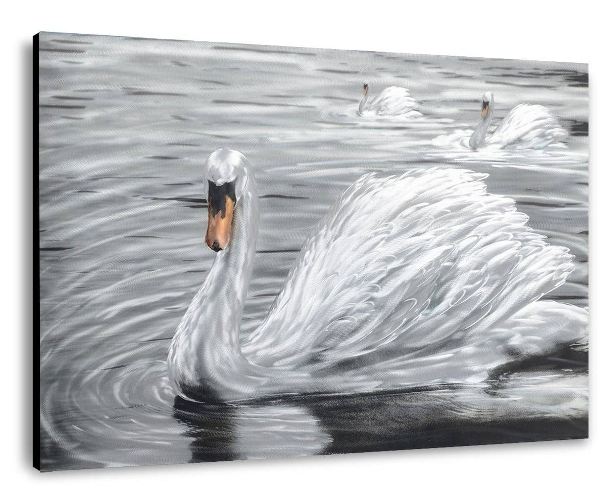 The Snow Feathered Swan Metal Wall Art