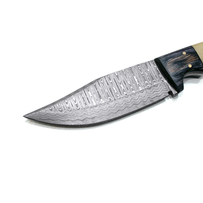 Damascus Steel Hunting Knife by Titan TD-170