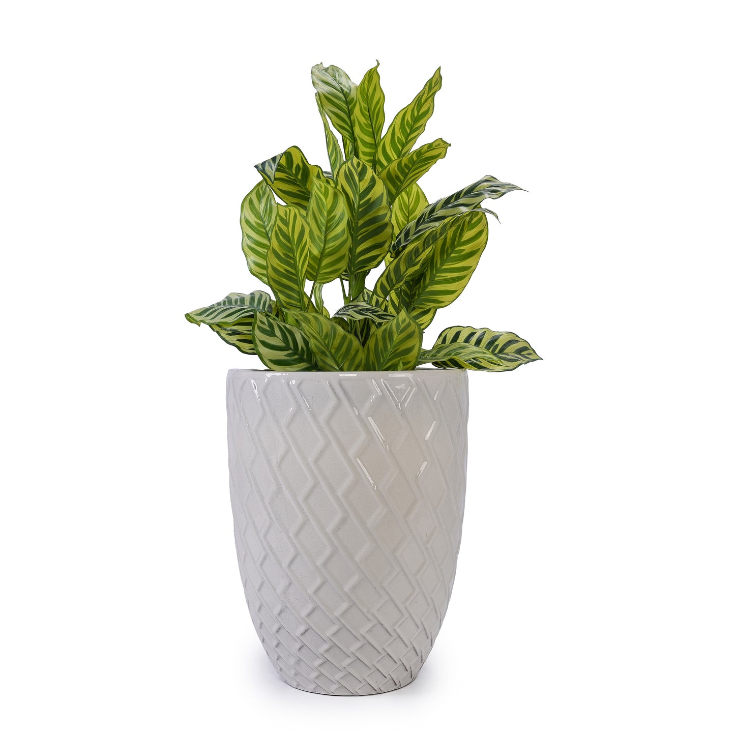Ceramic Flowerpot, Modern Planter for Patio, Garden, Windowsill - White