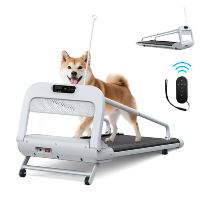 2025 New Quiet Smart Pet Treadmill, Adjustable Speed, Perfect for Small/Medium Dogs