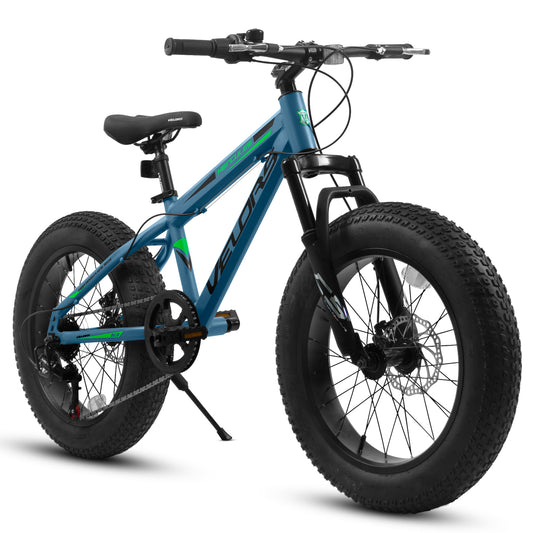 V20235 20 Inch Fat Tire Bike Adult 7 Speed Mountain Bike, Dual Disc Brakes, High Carbon Steel Frame, Front Suspension, Mountain Buggy, City Commuter City Bike, Fat Tire Bike