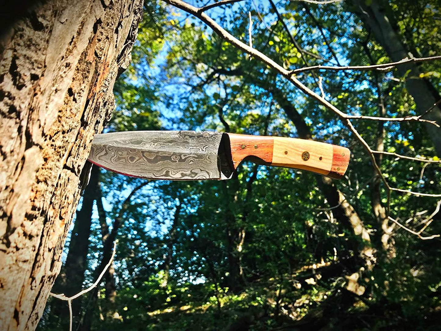 9'' Blade for Ever Outdoor Trip TD-087