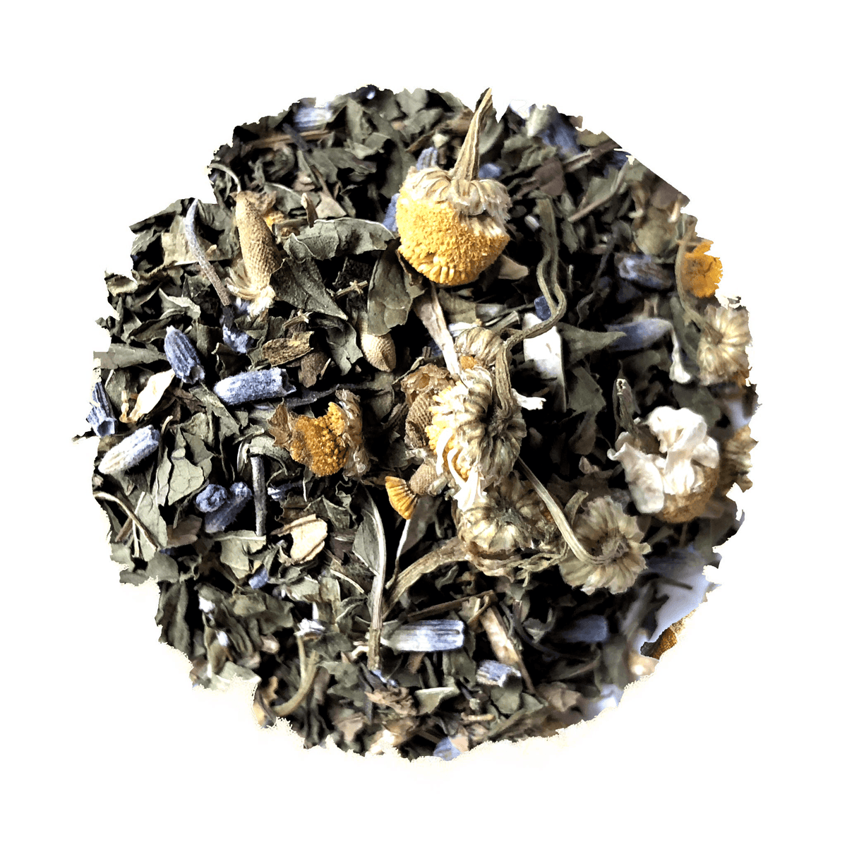Embrace the Beach Life Iced Blend