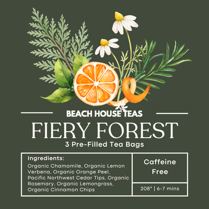 3-Pack Pre-Filled Tea Bags | Grab & Go Premium Loose Leaf Tea