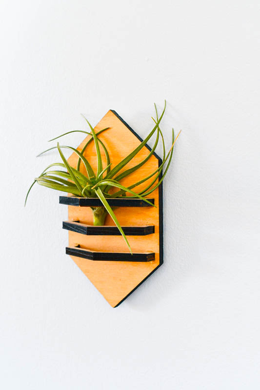 Geometric Air Plant Holder
