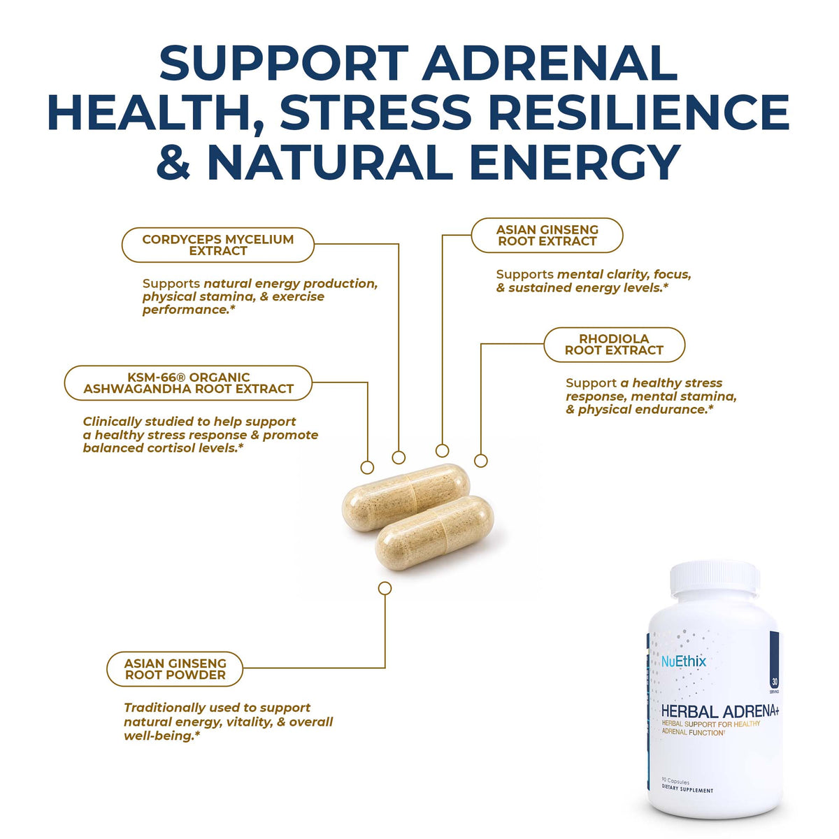 Herbal Adrena+
