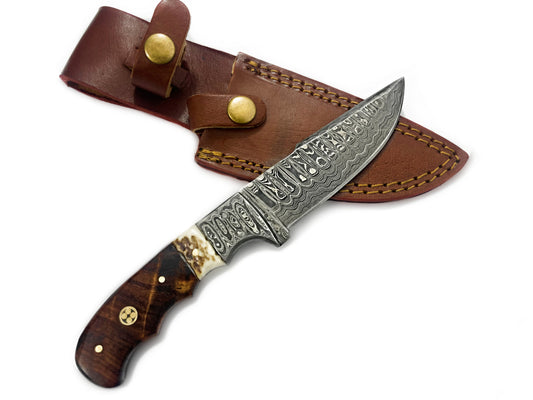 Damascus Steel Fixed Blade Knife With Walnut & Stag Horn Handle Hunting Knife TD-159