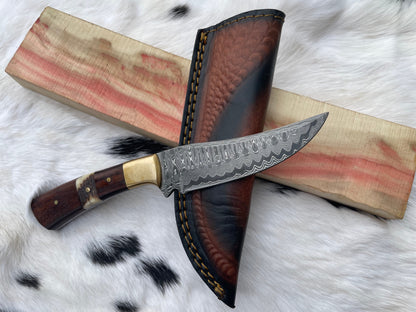 CUSTOM HANDMADE FORGED DAMASCUS STEEL HUNTING KNIFE BLADE WITH BLACK WALNUT and STAG HORN SCALES TK-058