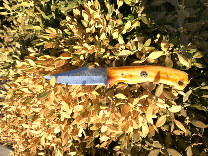 Carbon Skinning/Hunting Knife TC-59