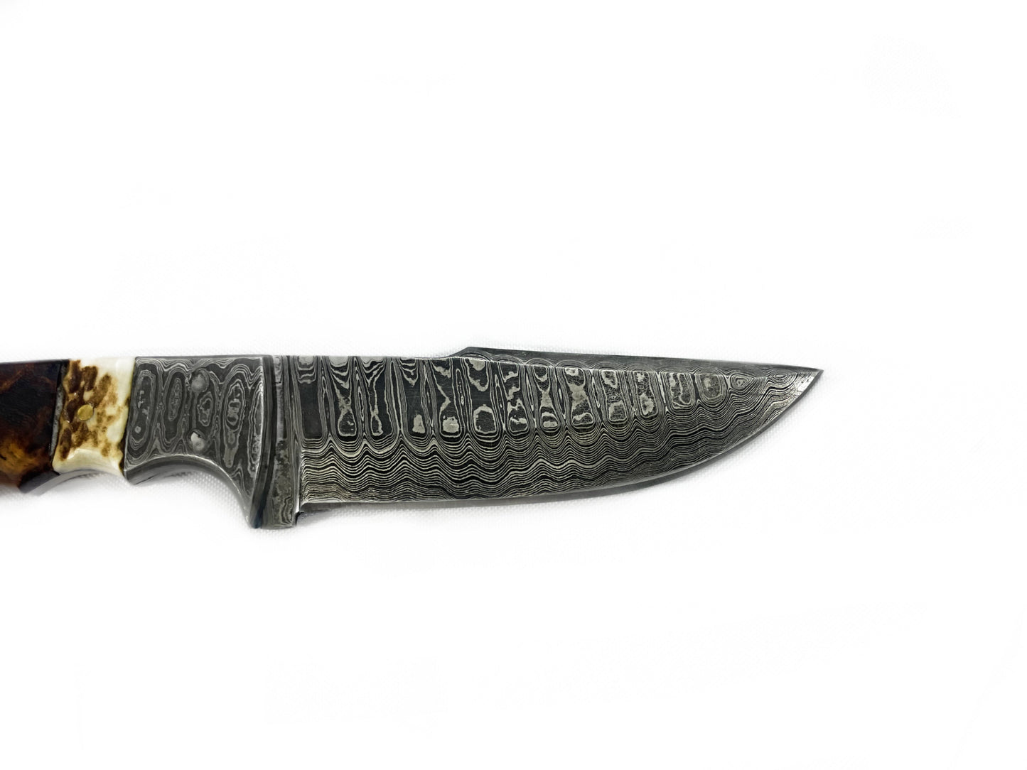 Damascus Steel Fixed Blade Knife With Walnut & Stag Horn Handle Hunting Knife TD-159