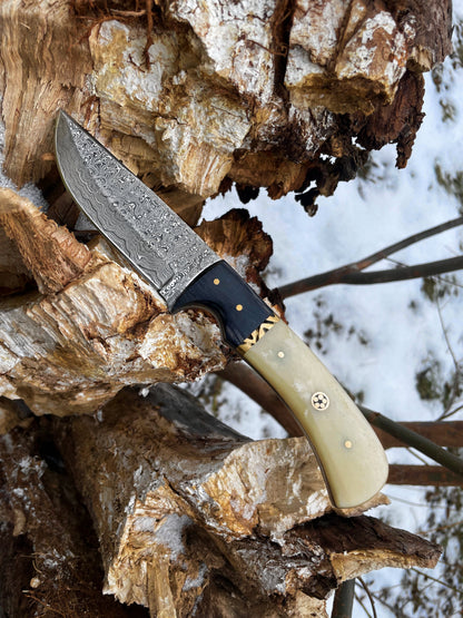 DAMASCUS STEEL HUNTING KNIFE by TITAN TD-172