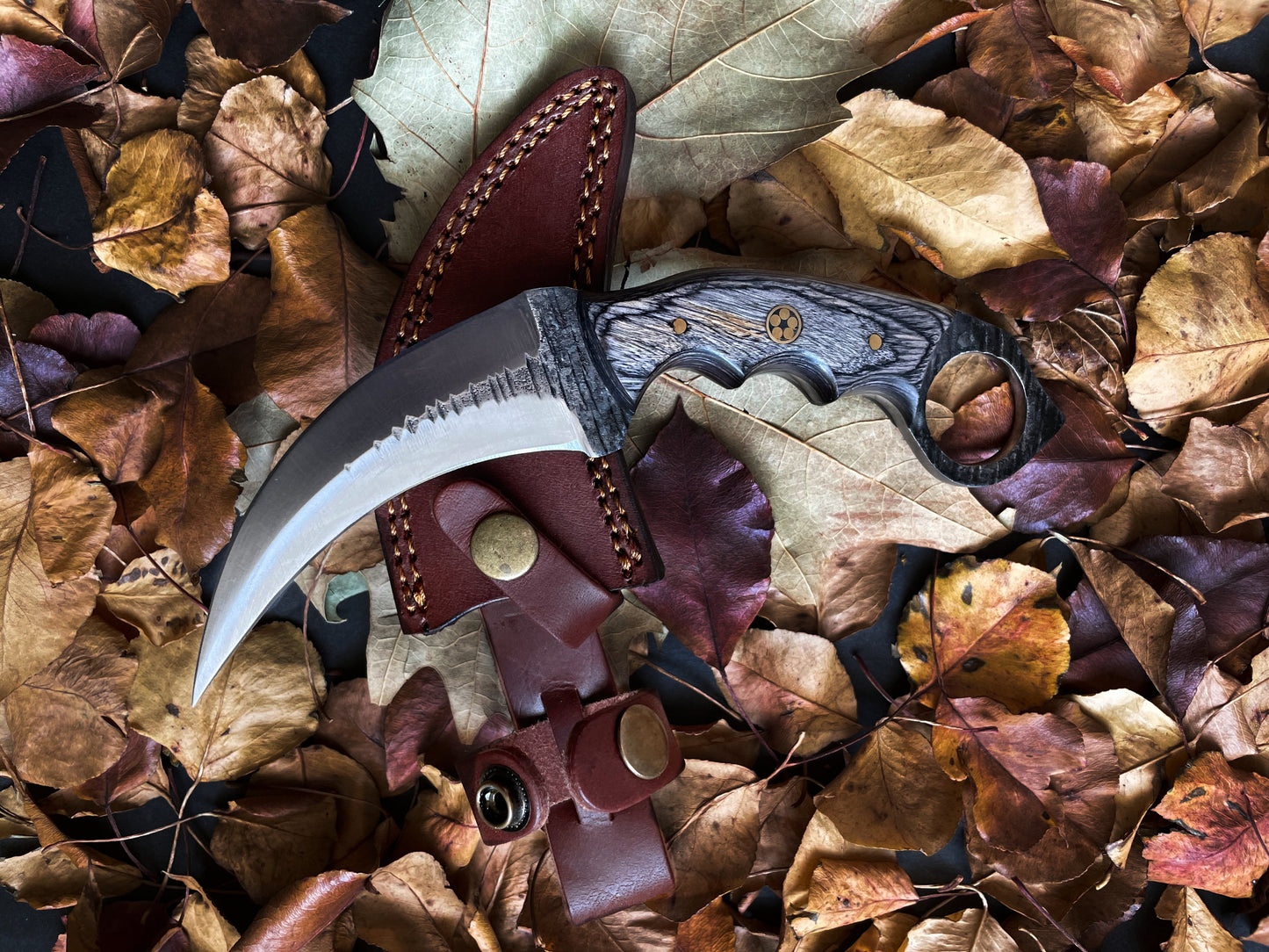 Carbon Steel Titan Raptor Ring Skinner - Curved Fixed Blade Hunting Knife TC-041