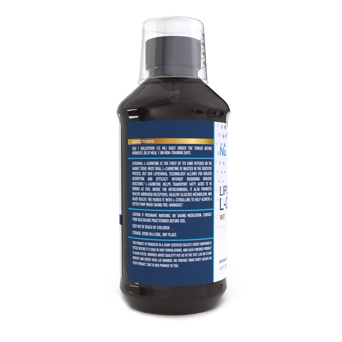 Liposomal L-Carnitine