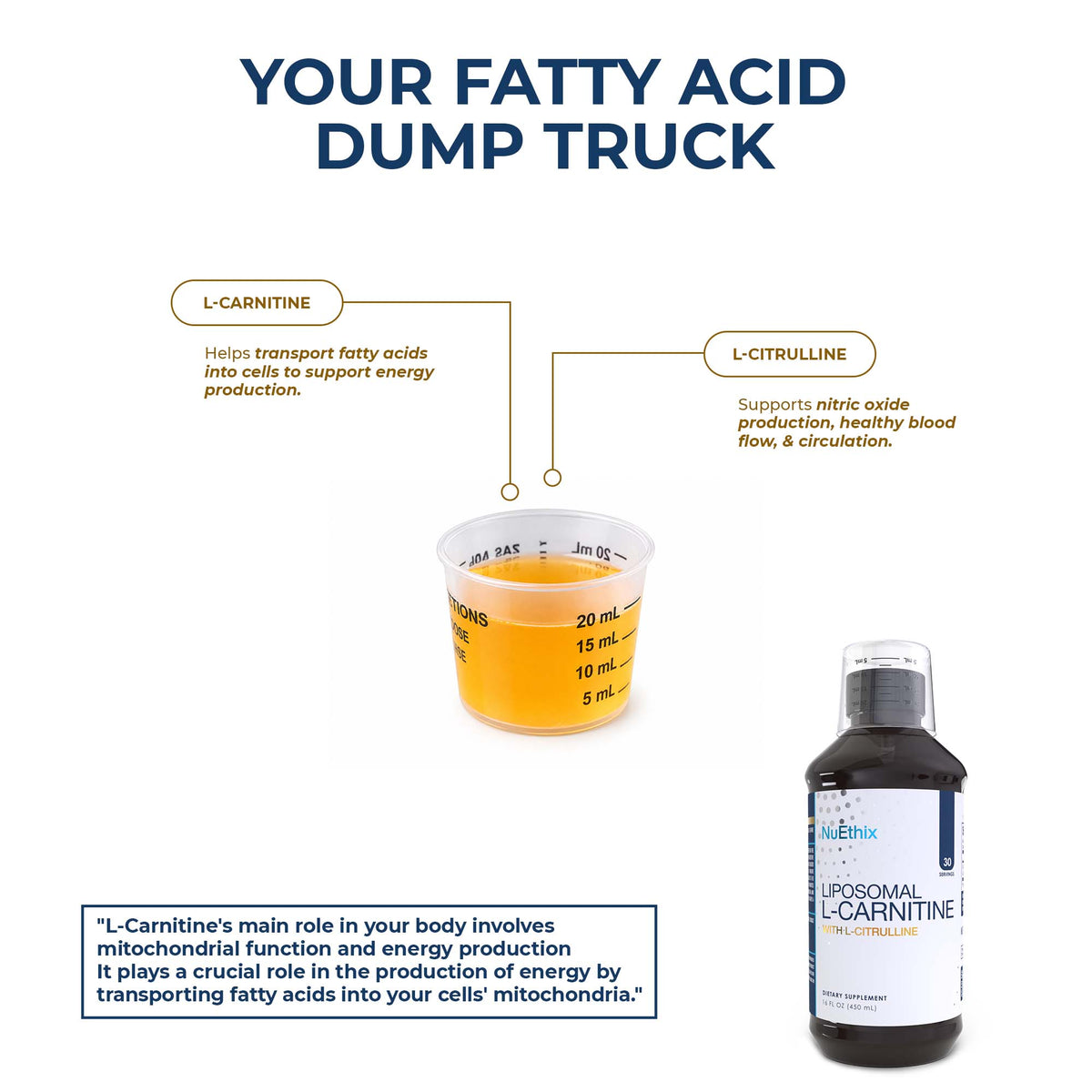 Liposomal L-Carnitine