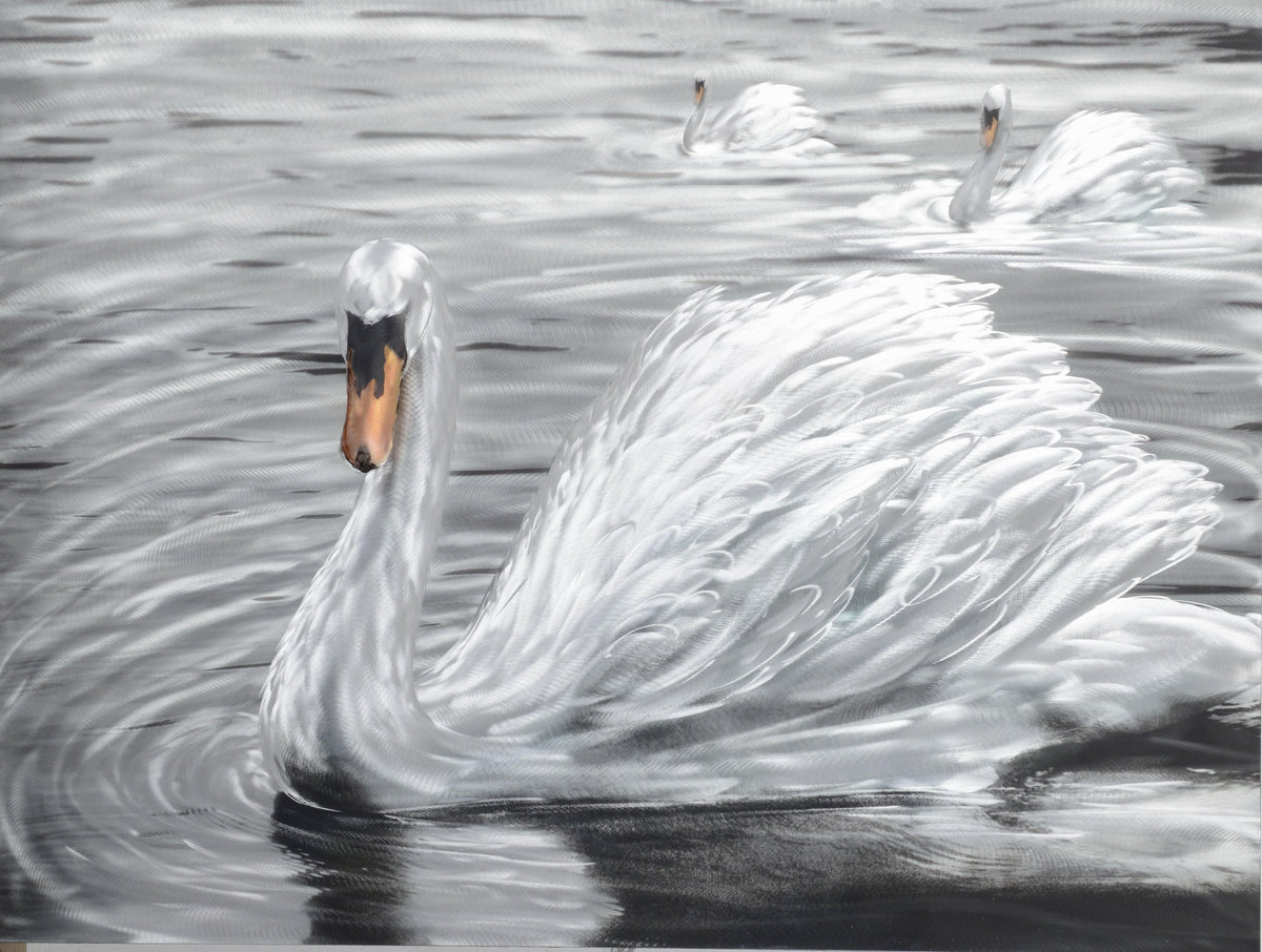 The Snow Feathered Swan Metal Wall Art
