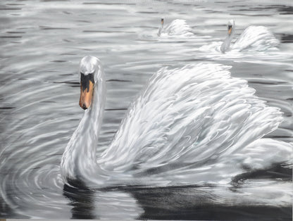The Snow Feathered Swan Metal Wall Art