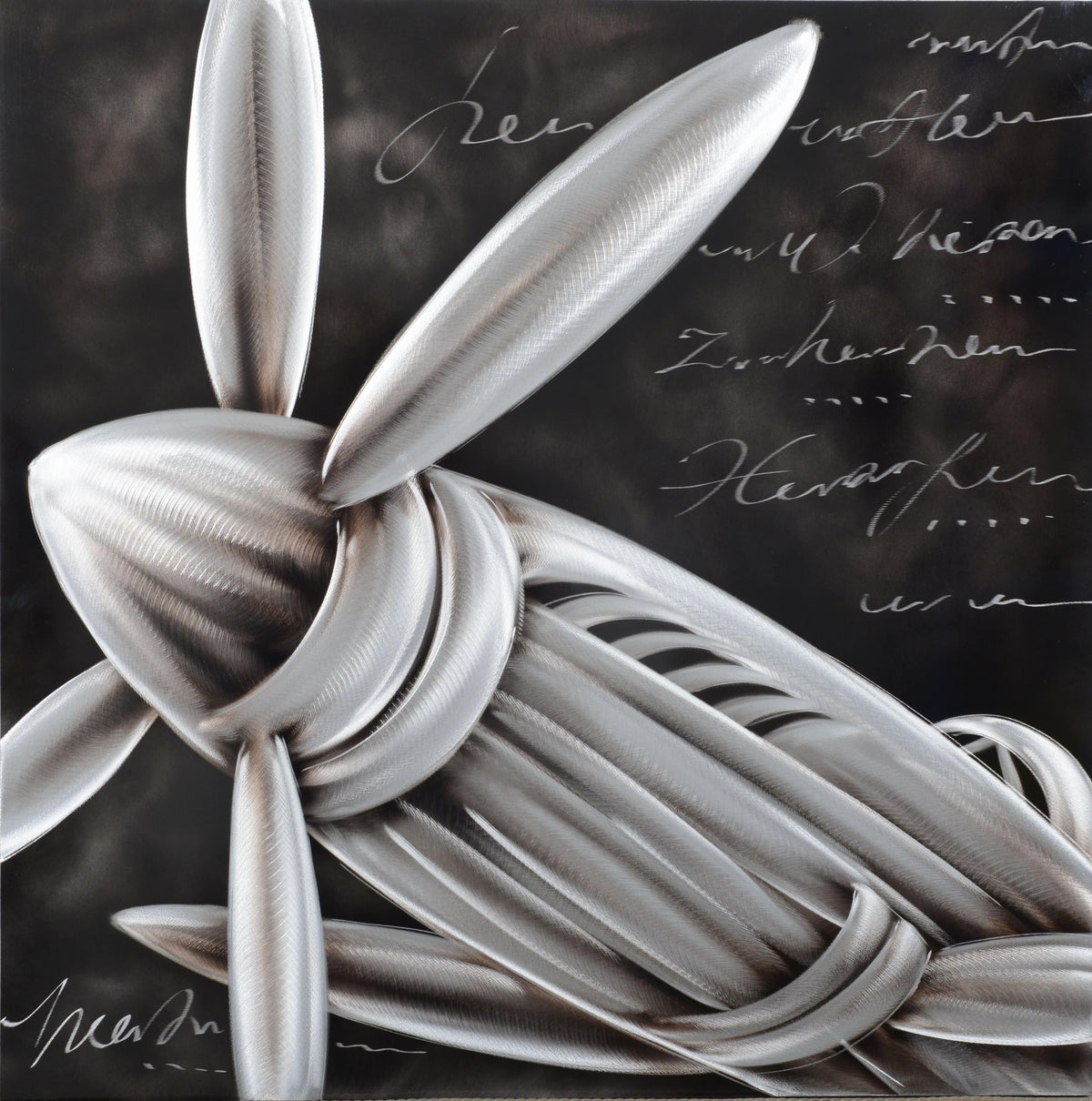 Nose of the Aeroplane Metal Wall Art