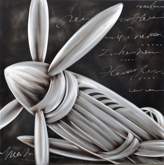 Nose of the Aeroplane Metal Wall Art