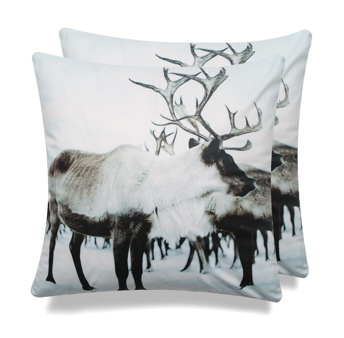 Cottage Icons Throw Pillow - Set of 2