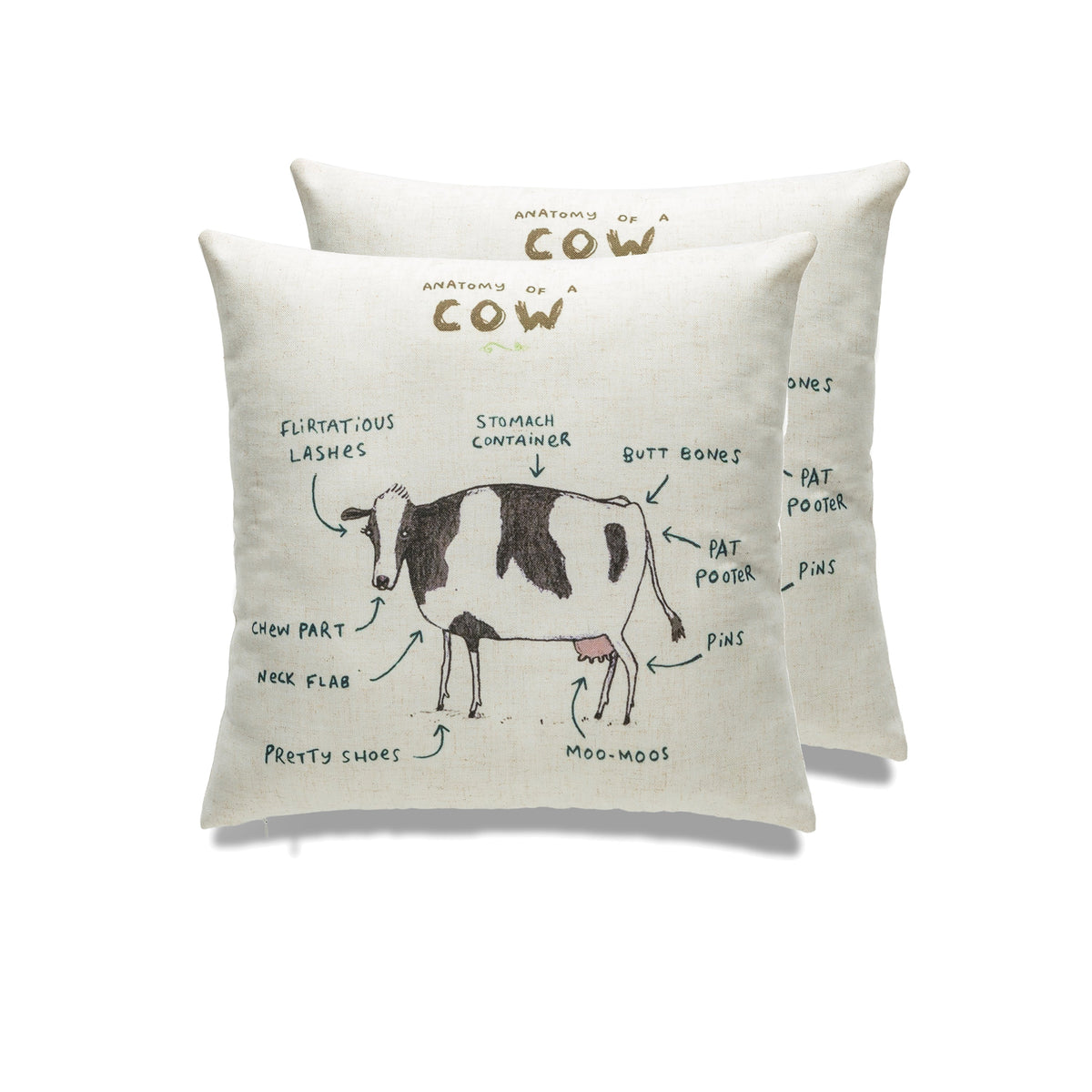 Farmhouse Animals Throw Pillow - Set of 2