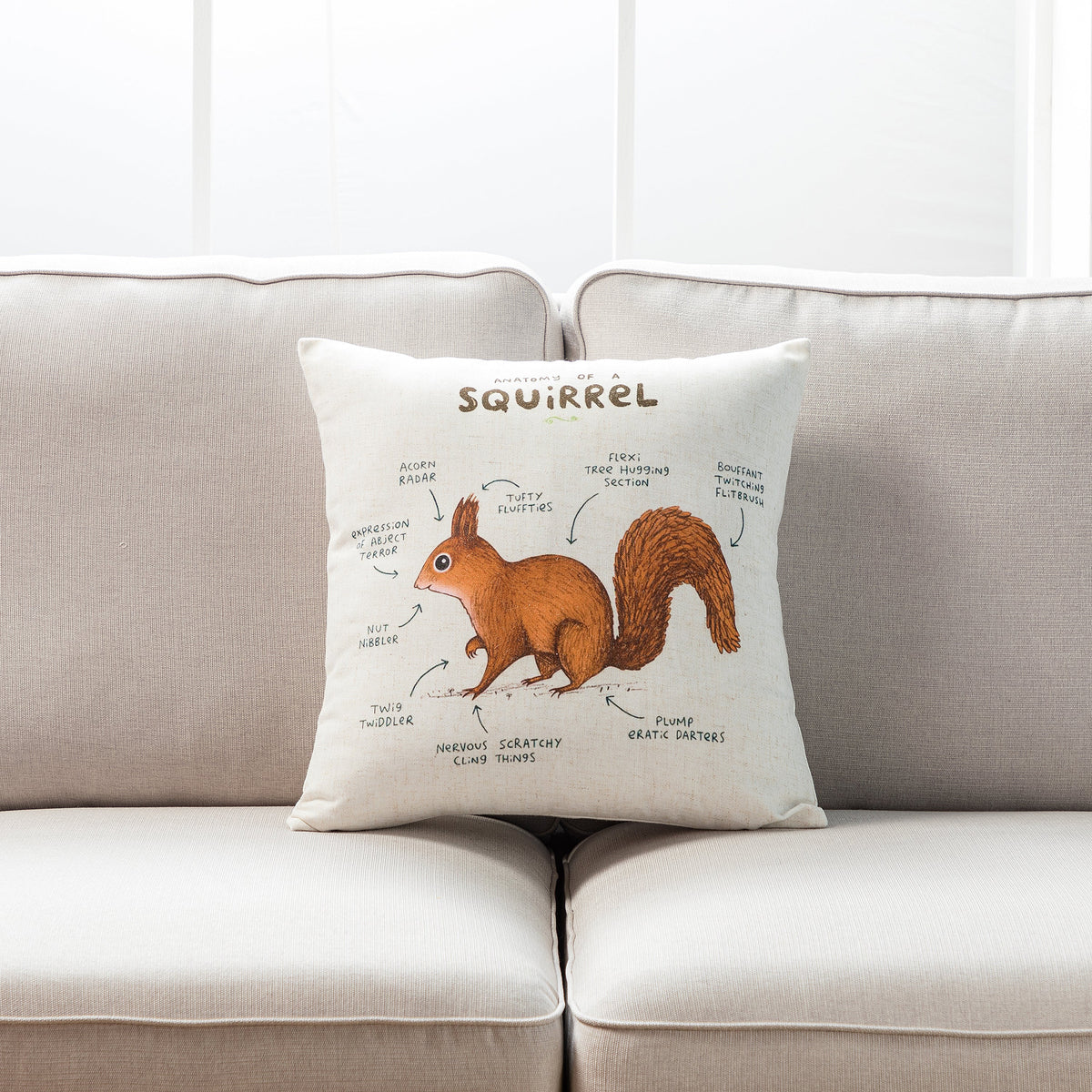 Farmhouse Animals Throw Pillow - Set of 2