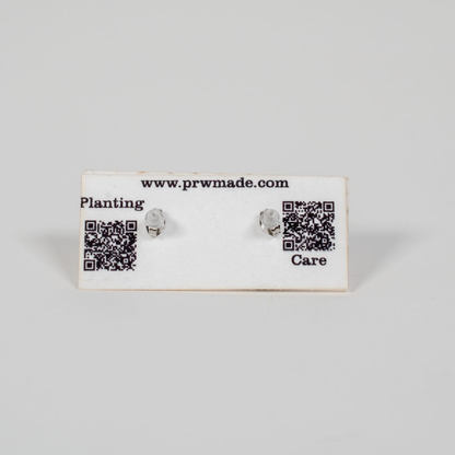 Small Wood Stud Earrings | Geometric Designs