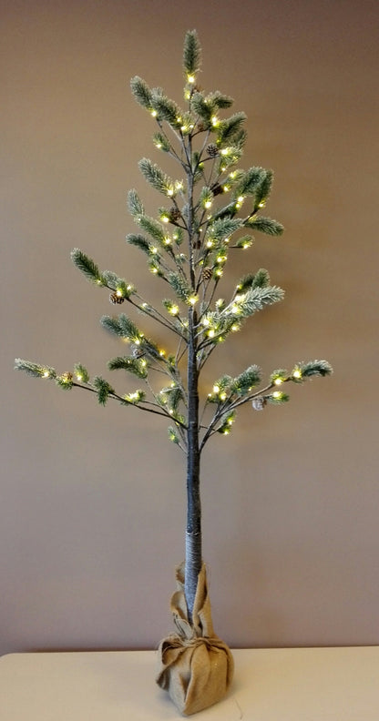 Christmas Pine Tree