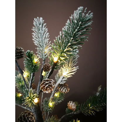 Christmas Pine Tree