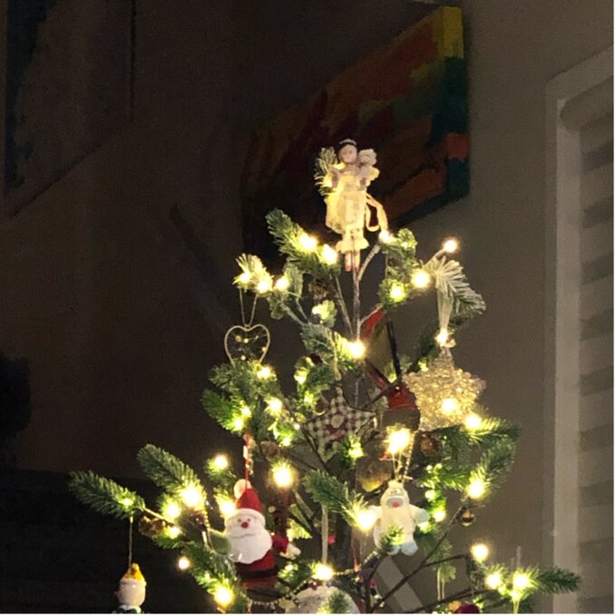 Christmas Pine Tree