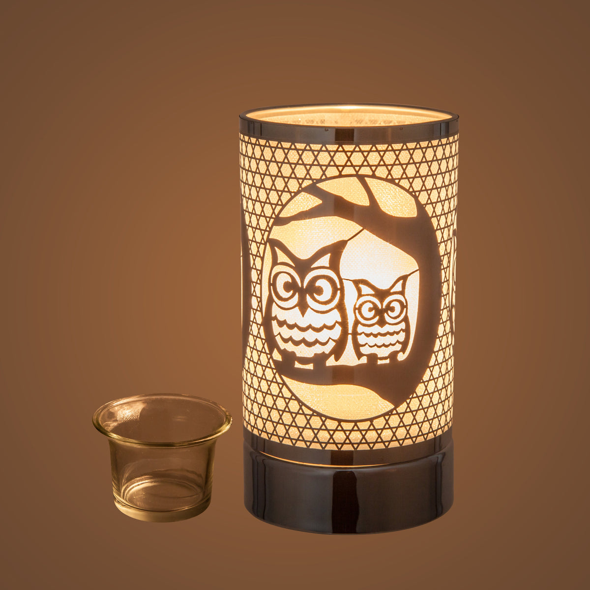 7" Touch Lamp-Fragrance Wax Melts Warmer -Electric Candle Essential Oil Burner-Metal Table Decor - Silver Loving Owls