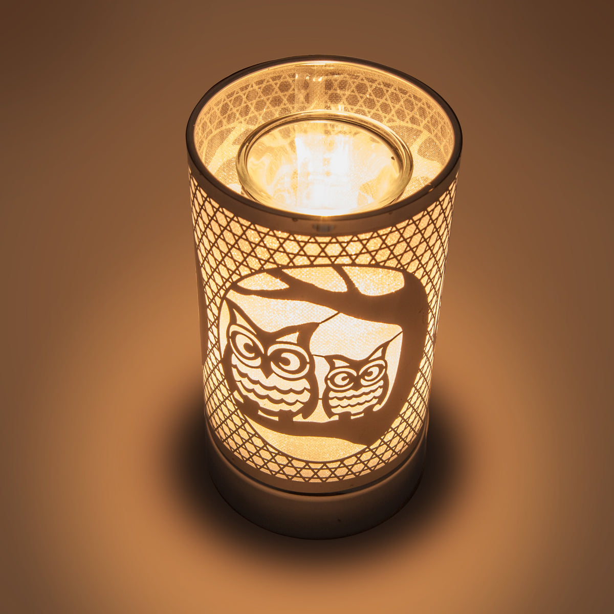 7" Touch Lamp-Fragrance Wax Melts Warmer -Electric Candle Essential Oil Burner-Metal Table Decor - Silver Loving Owls