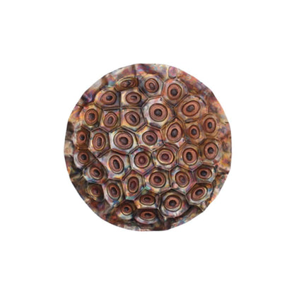 Lotus Fruit Wall Mountable Original Artwork