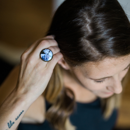 CLEARANCE Interchangeable Planetary Society LightSail Ring