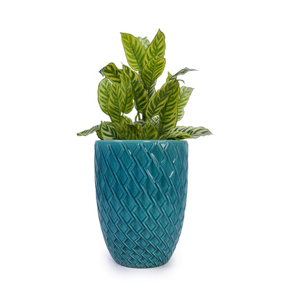Ceramic Flowerpot, Modern Planter for Patio, Garden, Windowsill - Cyan
