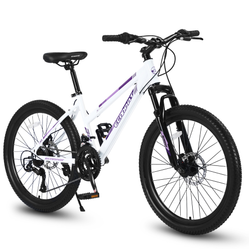 26 inch Mountain Bike for Teenagers Girls Women, Shimano 21 Speeds with Dual Disc Brakes and 100mm Front Suspension