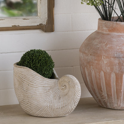 8.5x5.5x6.3' Sand and Cement Nautilus Shell Planter with Textured Beige Finish