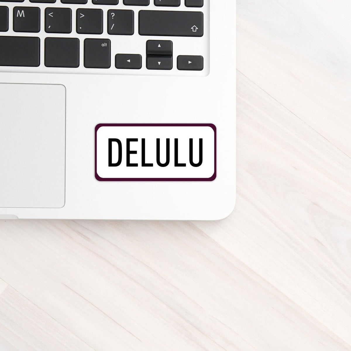 Delulu Positive Mindset Vinyl Sticker