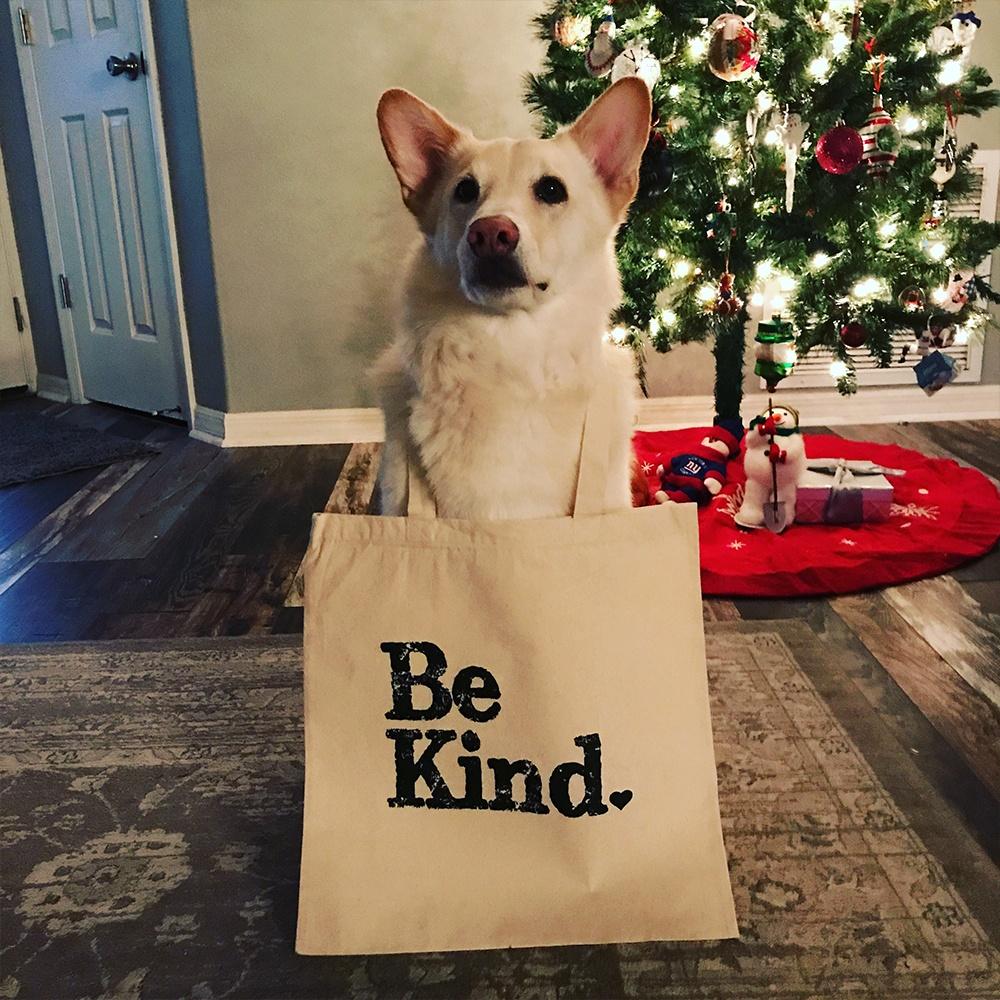 Ellenville Be Kind Canvas Tote (Sample)