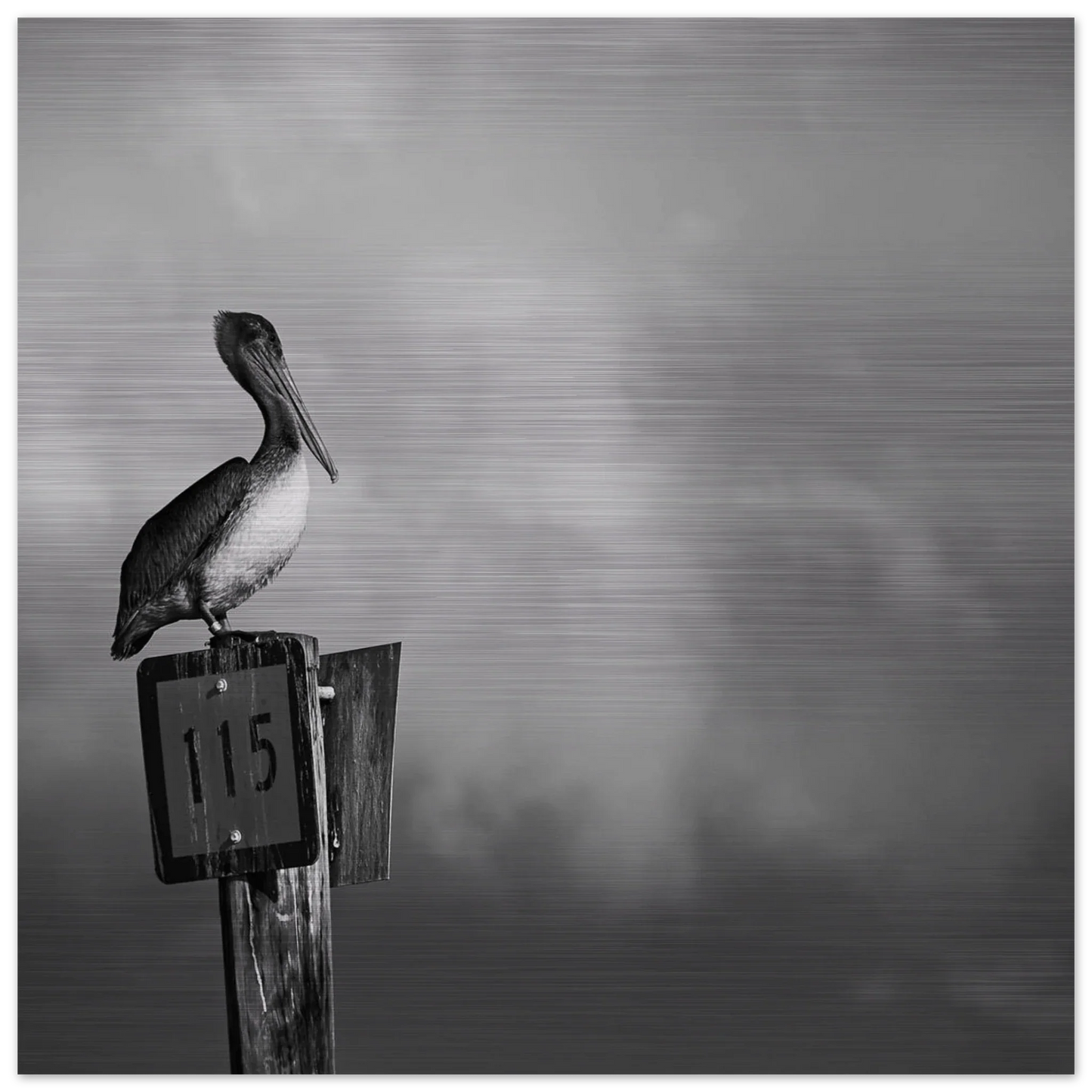 Guardian | Black & White Aluminum Print